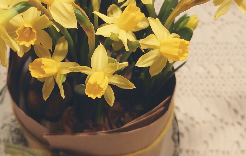 Blommor vid firandet av vårdagjämningen